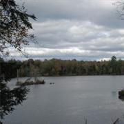 Constantia, New York