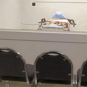 Been a Witness to a Murderer's Execution