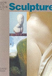 How to Look at Sculpture: Text and Photographs (David Finn)