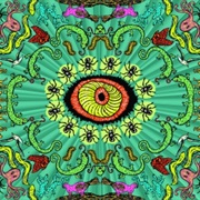 Wilderness - The Handsome Family