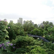 Benjakitti Park, Bangkok, Thailand