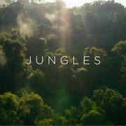 Planet Earth II: "Jungles" (S1,E3)