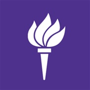 New York University