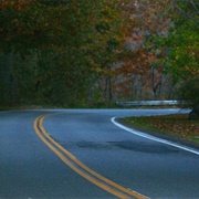 Drive the 'Haunted' Black Woods Road