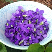 Violets