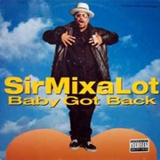'Baby Got Back' by Sir Mix-A-Lot