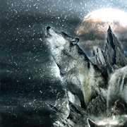 Catamenia - Location: Cold