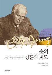 융의 영혼의 지도 (머리 스타인)