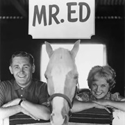 Mister Ed (1961-1966)