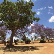 Bereko, Tanzania