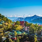 Shimla
