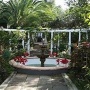 Jardines Del Sitro Litre  Canaries