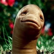 MSN Earthworm