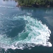 Reversing Falls in Pembroke, ME