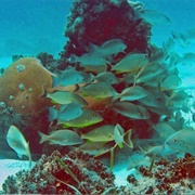 San Pedro Underwater Archaeological Preserve State Park