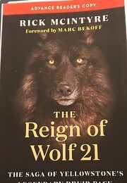 The Reign of Wolf 21 (Rick McIntyre)