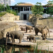 Zoologischer Garten Köln, Germany