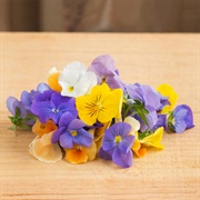 Edible Flowers