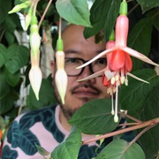 Bob Wong (Gay, He/Him)