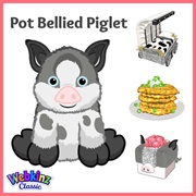 Pot Bellied Piglet