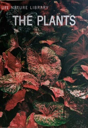 The Plants (Frits W. Went)