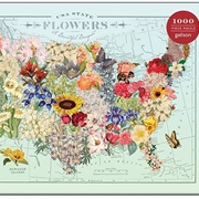 USA State Flowers (Galison)