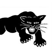 How the Black Panther Party Worked