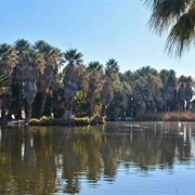Agua Caliente Park