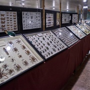 May Natural History Museum