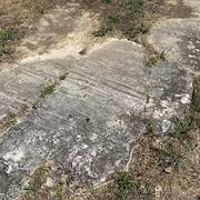 Blue Creek Metropark