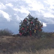 I-17 Mystery Christmas Tree (Permanently Closed)