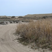 Napeague State Park, New York