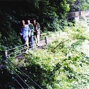 Long Season - Fishmans