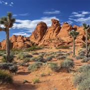 Gold Butte, NV (BLM)