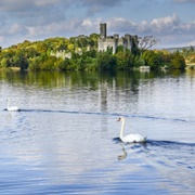 Lough Key Forest Park, County Roscommon, Ireland