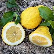Citrumelo