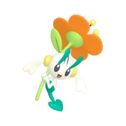 Floette (Orange Flower)