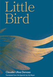 Little Bird (Claudia Ulloa Donoso)