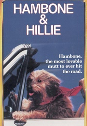 Hambone & Hillie (1984)