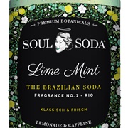 Soul Soda Lime Mint
