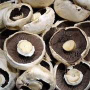 Large Flat Mushrooms