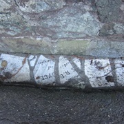 Buena Vista Park Tombstones