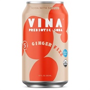 VINA Ginger Fizz