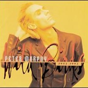 Peter Murphy - Wild Birds: 1985 - 1995