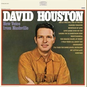 Mountain of Love - David Houston