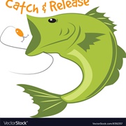 Catch and Release