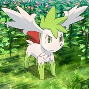 Shaymin