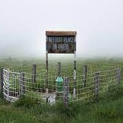 Wettest Place on Earth Meghalaya