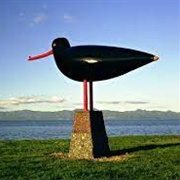 Kaiaua Giant Oystercatcher