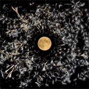 Lisa O'Neill - All of This Is Chance